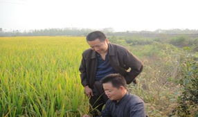 農業(yè)工程師職業(yè)大全 多領域發(fā)展與職業(yè)前景