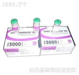 鄭州翰威畜牧科技 獸藥飼料火爆招商，賦能現代畜牧漁業新篇章