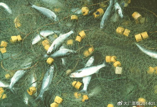 AquaTech 2026 馬來西亞漁業展覽會 領航漁業新紀元，驅動畜牧漁業飼料銷售創新